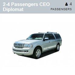 ceo-diplomat-2-4-pass
