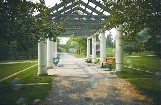 Barker Park Gazebo