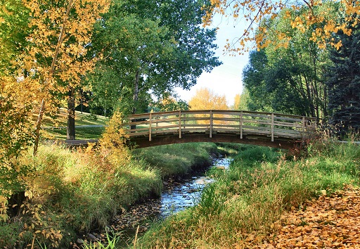 Confederation Park bridge in Autumn