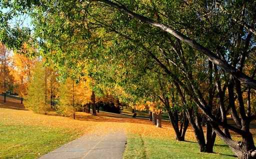 Confederation Park pathway in Autumn