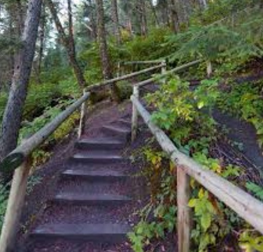 Stairway at Edworthy Park