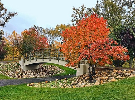 Bridge in Prince’s Island Park during Autumn