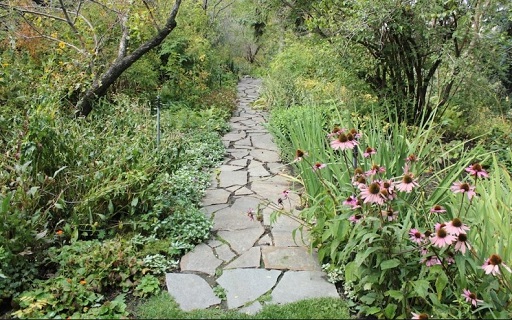 Garden Path at Reader Rock Gardens