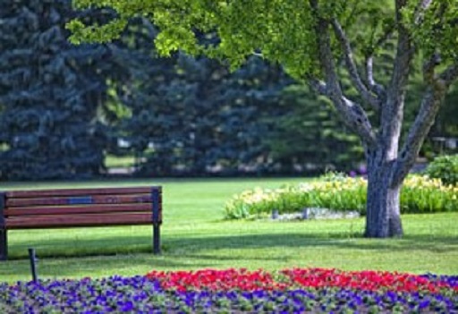 Riley Park Flower Garden and trees in Summer