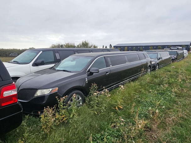ampm-lincoln-mkt-stretch-out-to-pasture