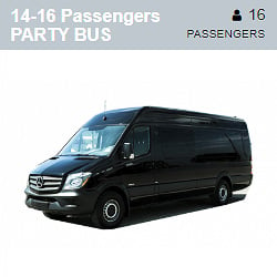 Mercedes Party Bus Limousine (14-16 Passengers)