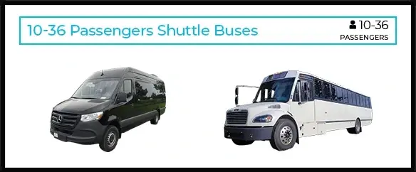 AMPM-Inbound-Aug2023-Website-ShuttlerBusAddition-FleetPage-01a