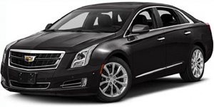 Things you need to know before renting a Car in Calgary